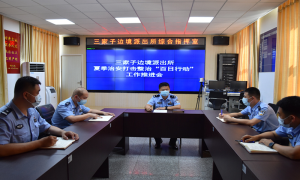 扎实开展“百日行动” 全面提升整治成效