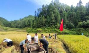 党建引领治抛荒 不误农时秋收忙