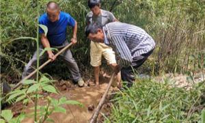 湖北白果乡同心抗旱保民生