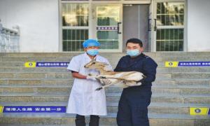 民警及时救助国家二级保护动物黄羊
