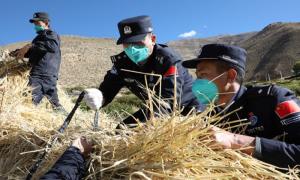 普兰移民管理警察助力群众秋收