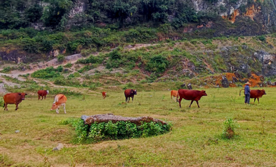 guangxi2.png