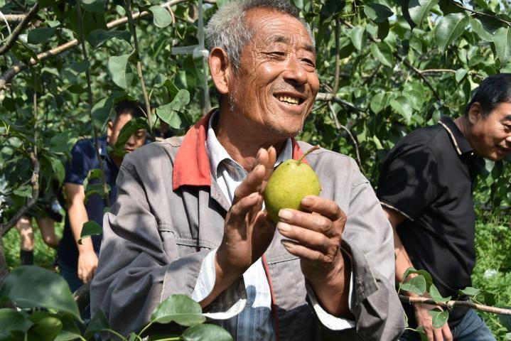 qiu1.jpg