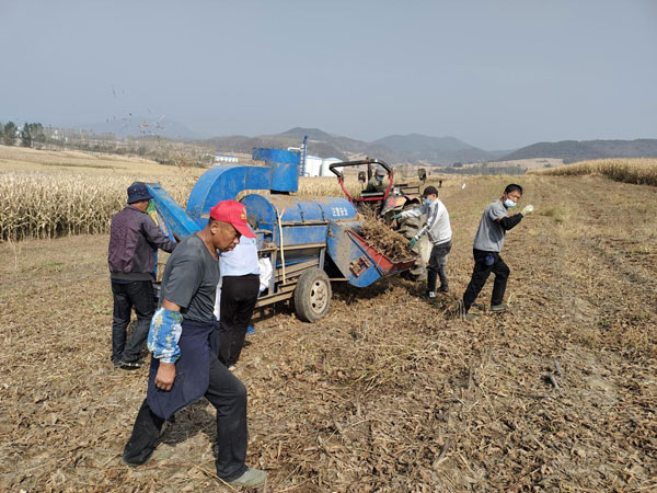 jilin2.jpg