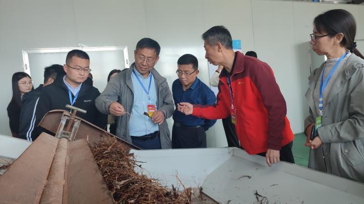 henan2.jpg