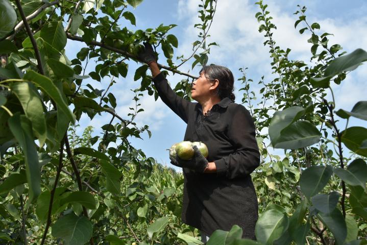 qiu5.jpg