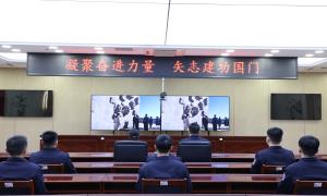 相聚“云端”共话党建 津冀携手建功国门