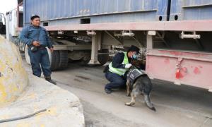 突破350万吨！满都拉口岸单日过货量创历史新高