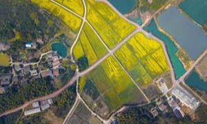 咸安区：打造“四好农村路” 绘就“三农”新画卷
