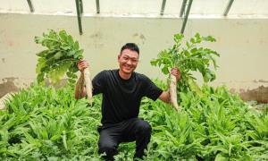 高原“菜篮子”种出“幸福果”