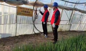 国网长春供电公司：跟踪服务“菜篮子” 大棚用上放心电