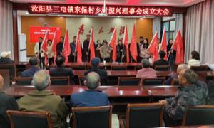 东保村成立乡村振兴理事会