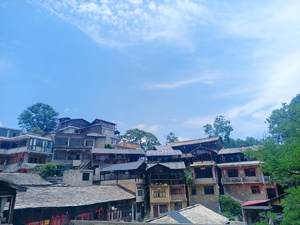 zhen1.jpg