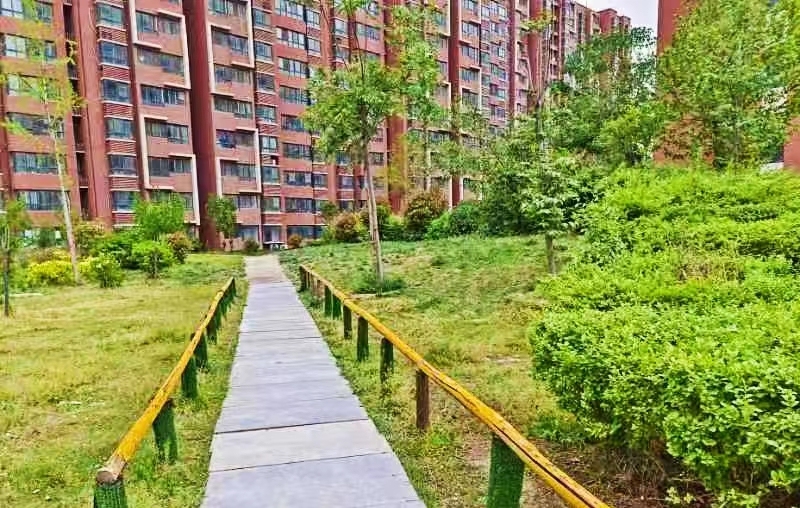 zheng1.jpg