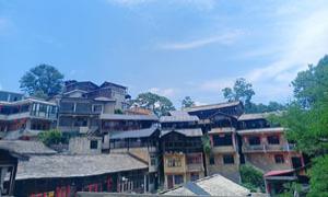 镇山村：庭院经济发展 助推乡村振兴