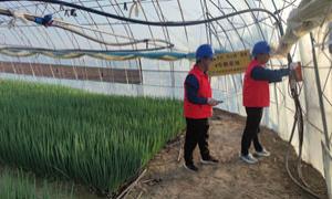 国网长春供电公司以优质供电服务护航农副产品生产