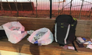皇岗出入境边防检查站接连查获非法携带活体动物入境人员
