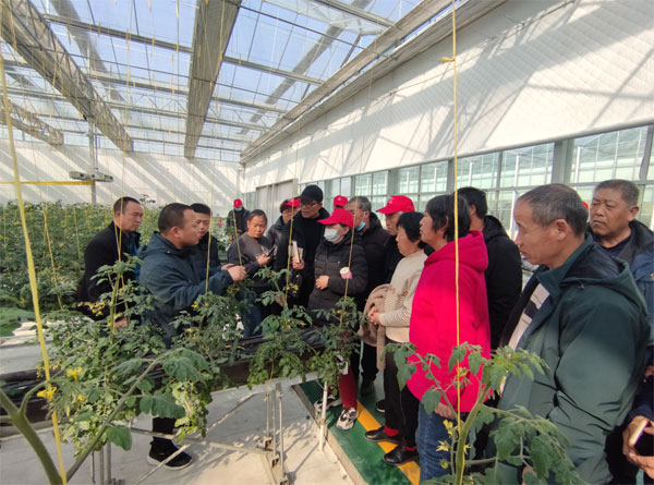 yuncheng2.jpg