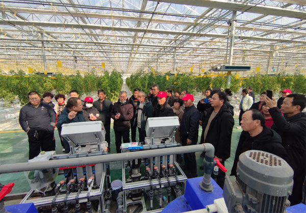 yuncheng3.jpg