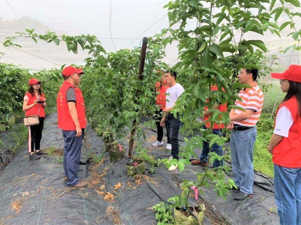 guangxi2.jpg guangxi2.jpg