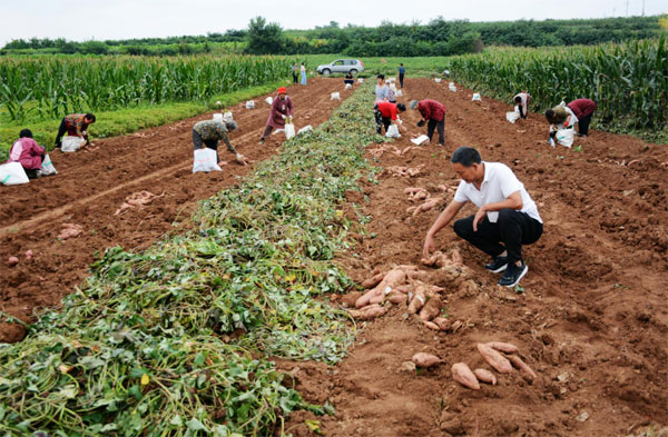 luoyang2.jpg luoyang2.jpg