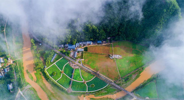 luoyang5.jpg luoyang5.jpg