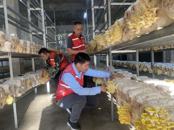 guangxi4.jpg guangxi4.jpg