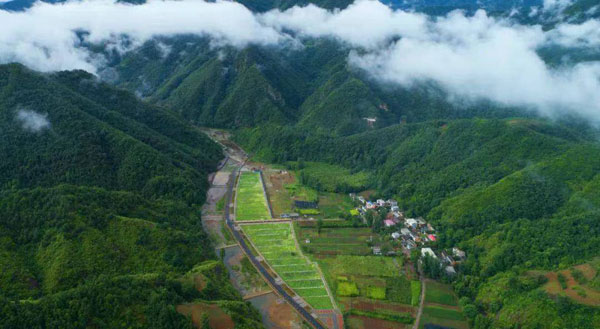 luoyang1.jpg luoyang1.jpg