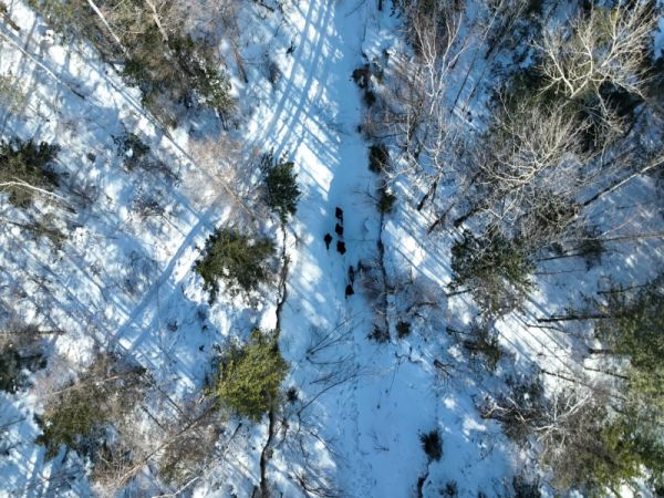 图片5.jpg 图片5.jpg