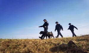 “萌帅组合”驻守边境一线 “戍边”警犬助力春节安全