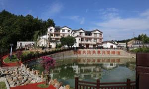 党建引领激活村集体经济“一池活水”