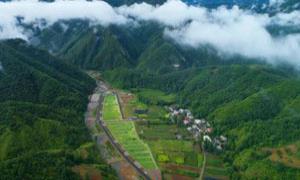 洛阳开展“三清两建”激活乡村振兴活力