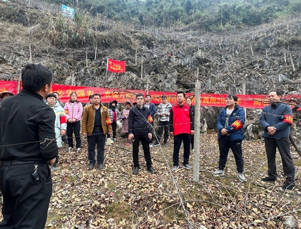 chungeng1.jpg chungeng1.jpg