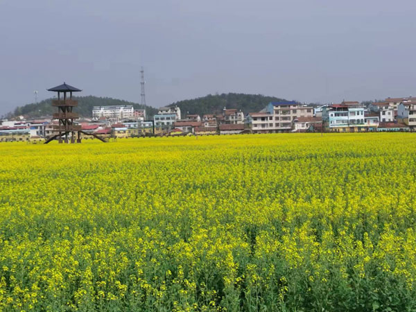 gaoqiao3.jpg