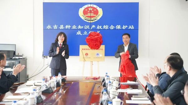zhongye2.jpg