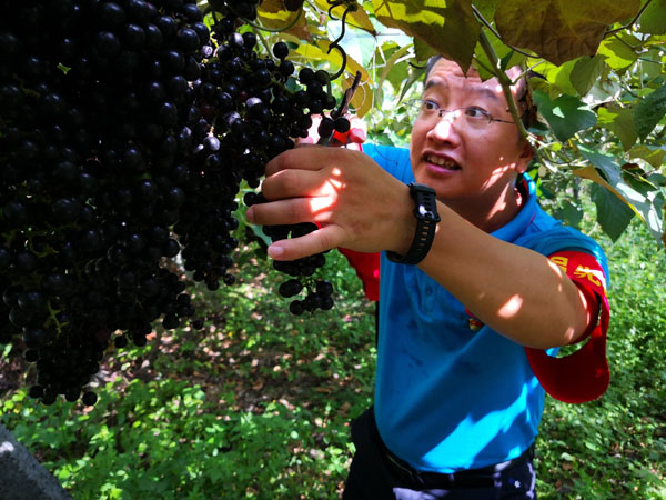 chungeng3.jpg chungeng3.jpg