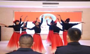 “政”意之光照耀边疆 文艺之花开满警心