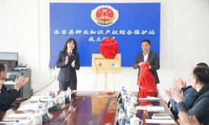 永吉县设立“种业知识产权综合保护站” 服务种业振兴