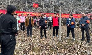 闹春耕 促生产,多种产业助力乡村振兴