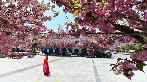 wangping1.jpg