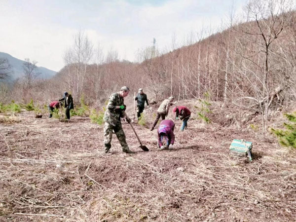 shanye1.jpg shanye1.jpg