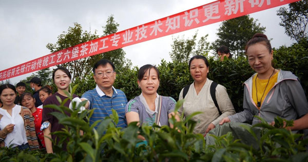 guangxi3.jpg