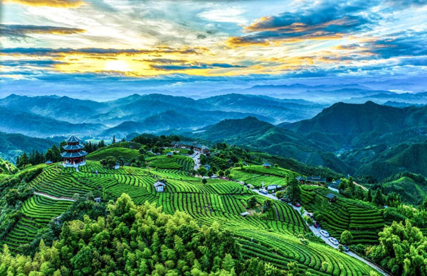 guangxi1.jpg