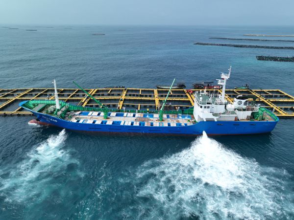 图片8.jpg 图片8.jpg