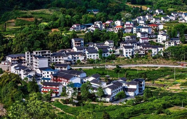 jizidu1.jpg