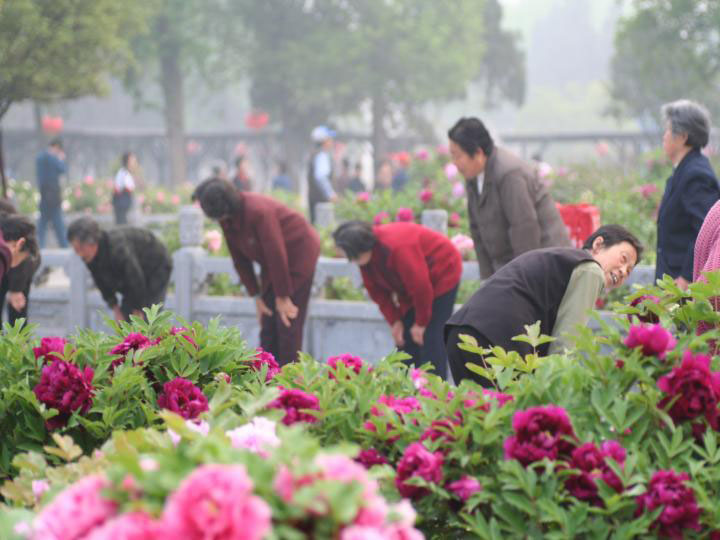 luoyang5.jpg