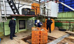 首艘俄罗斯捕蟹船满载50吨野生螃蟹靠泊象山 宁波边检高效监护保障快速通关