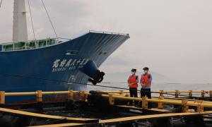 2023年三亚口岸首艘出口鱼苗船正式起航