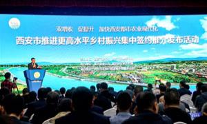 推进更高水平乡村振兴，西安集中签约61个重点项目