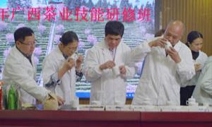 培育高素质农技人才 推动广西茶产业振兴